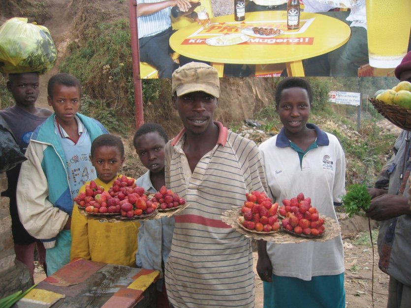 Vente de fraises à Bugarama.
