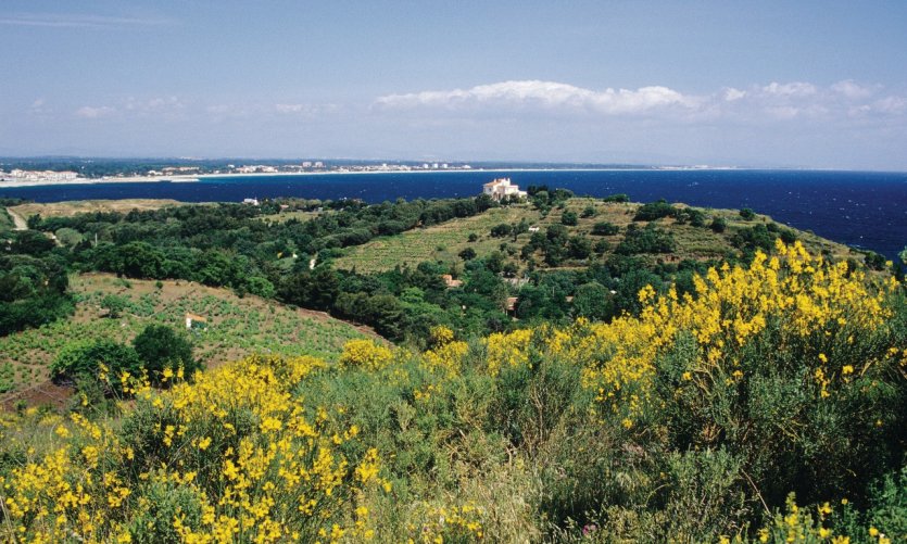 Restaurant Familiale Argeles Sur Mer Restaurant Familiale Argeles Sur Mer