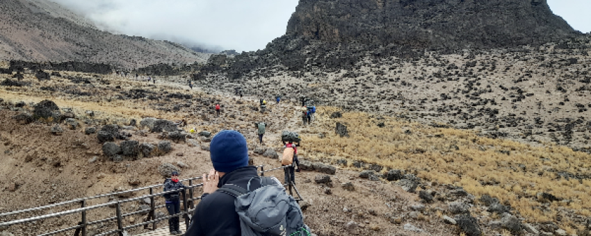 Gladiola Adventure Kilimanjaro Trekking - Gladiola Adventure L.t.d