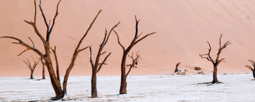 Sossusvlei - Chameleon Safaris