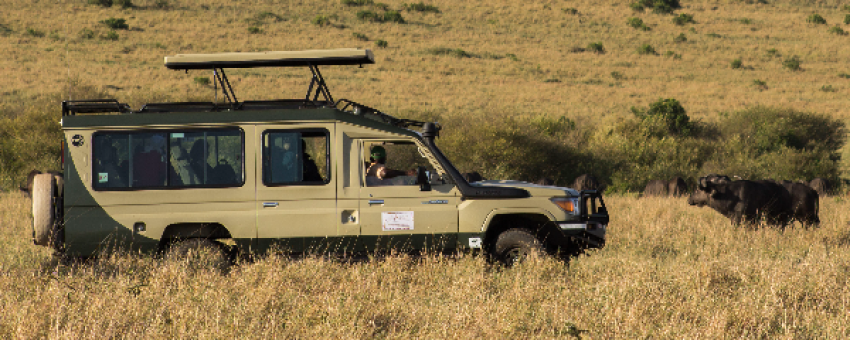 Safari Cruiser - Aslan Adventure tours & travel