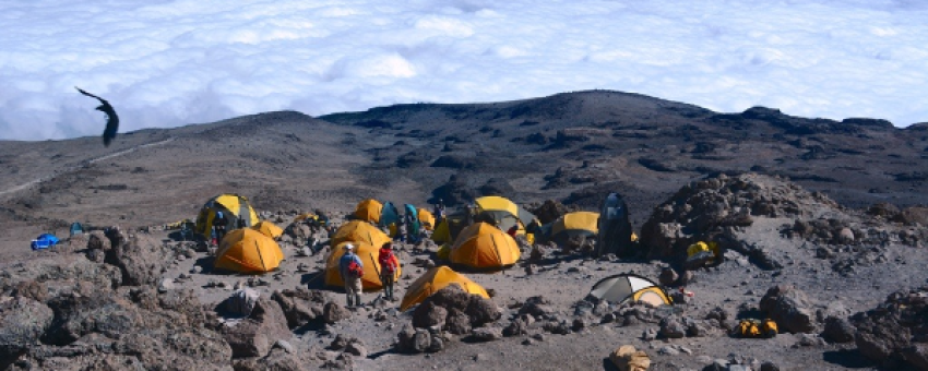 Camp de tentes - Kilimandjaro - Tanzania Specialist