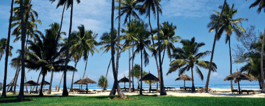 Plage Zanzibar avec palmiers - Tanzania Specialist
