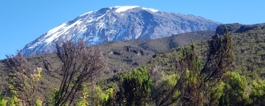 The view of Mount Kilimanjaro - gladiolaadventure