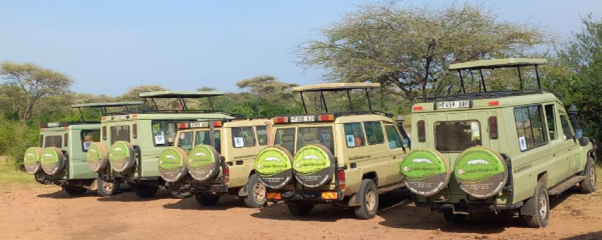 Gladiola Adventure safari vehicles - gladiolaadventure