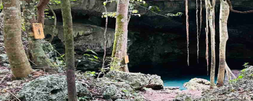 Visite d'un cenote dans la jungle - ELECTRIC BIKE RENTAL