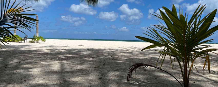 Plage paradisiaque des caraïbes - ELECTRIC BIKE RENTAL