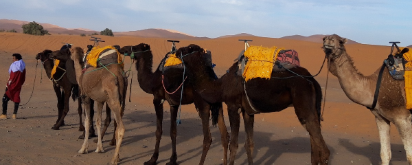 Randonnée dans le désert de Merzouga - Excursion désert Maroc