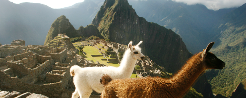 Machu Picchu - Voyage au Pérou - PeruInkasRoutes
