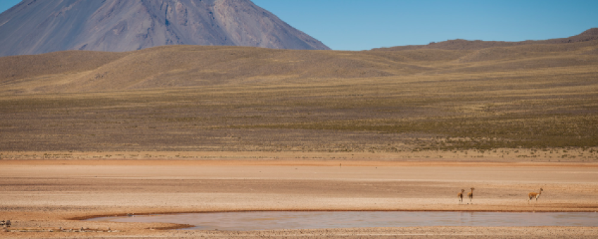 Réserve nationale Salinas et Aguada Blanca - Voyage au Pérou - PeruInkasRoutes