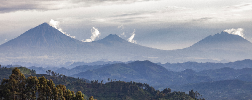Virunga range Rwanda - JT