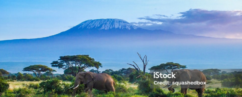 Une vue à couper le souffle du majestueux mont Kilimanjaro depuis le parc national d'Amboseli - istock ; squashedbox
