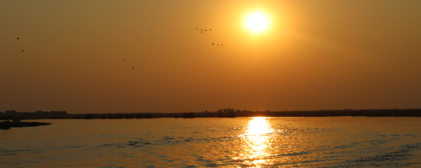 Beauté du fleuve Okavango - Justin fotos