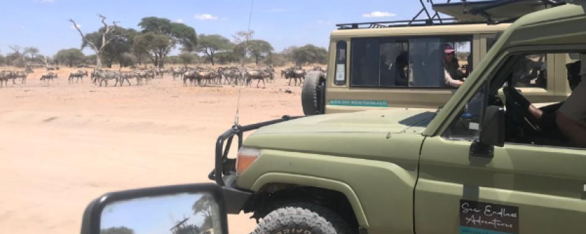 Safari Jeep - See Endless Adventure