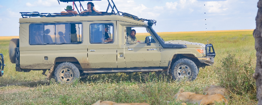 SERENGETI - LAND SAVANNAH