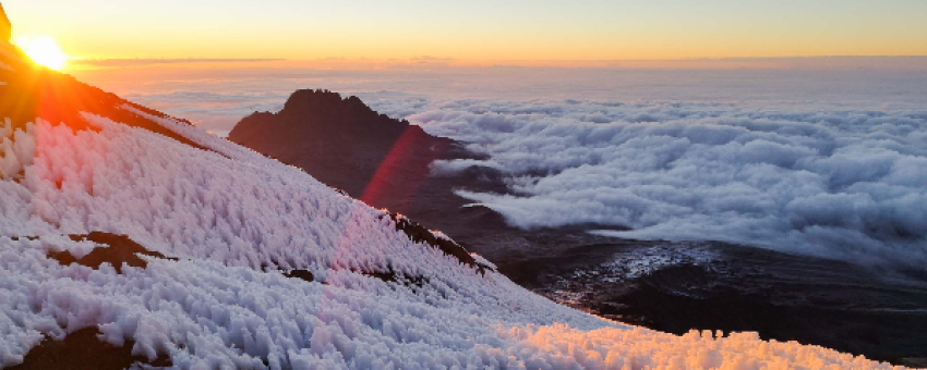 kilimanjaro - landsavannah