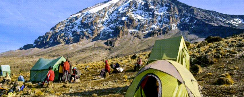 tenti kilimanjaro - landsavannah