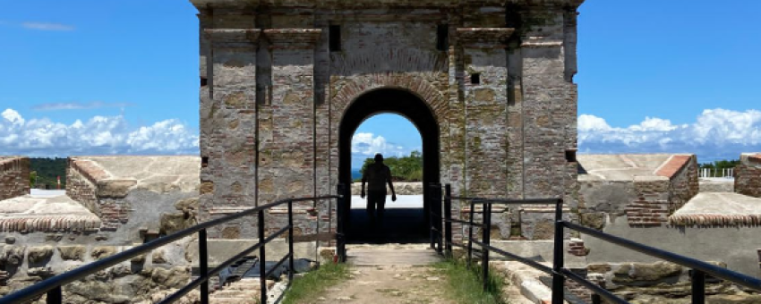 Portobelo - Damselfy