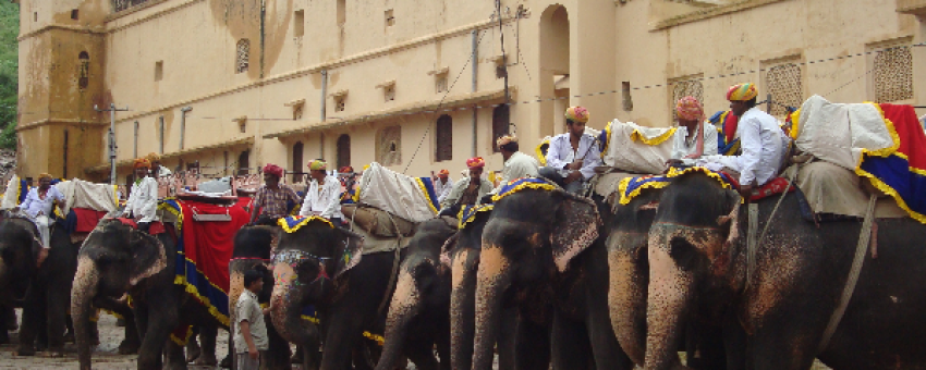 Fort Amber - Shivalik Holidays