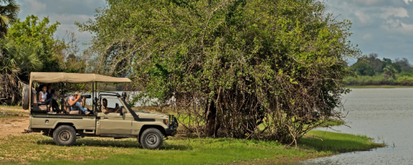 2-Day Safari to Nyerere National Park from Dar Es Salaam - Real Life Adventure Travel