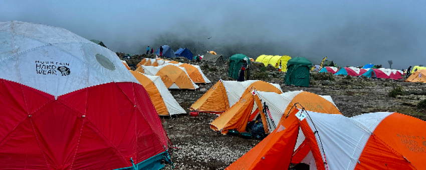 Kilimanjaro group climb - Real Life Adventure Travel
