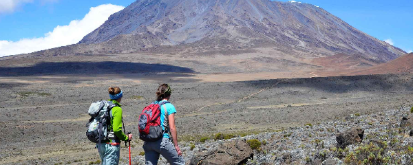 Kilimanjaro Lemosho Route climb - Real Life Adventure Travel