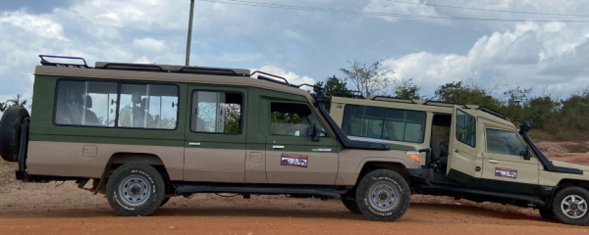 6-Day Budget Camping Safari in Northern Tanzania - Real Life Adventure Travel