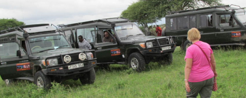 3-Day Budget Camping Safari to Tarangire and Ngorongoro - Real Life Adventure Travel (RLAT LTD)