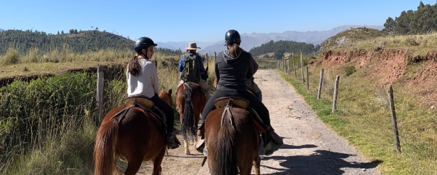cheval - perou cusco trek