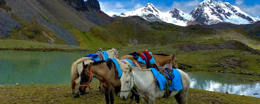 7 lacs - perou cusco trek