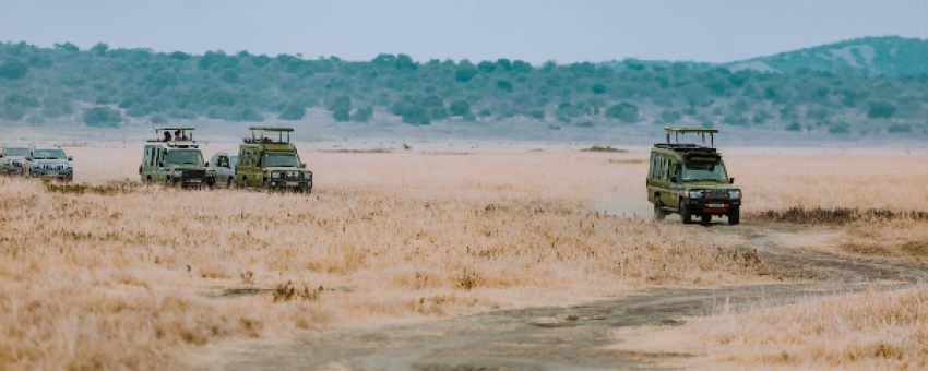 SHALOM SAFARIS - SHALOM SAFARIS