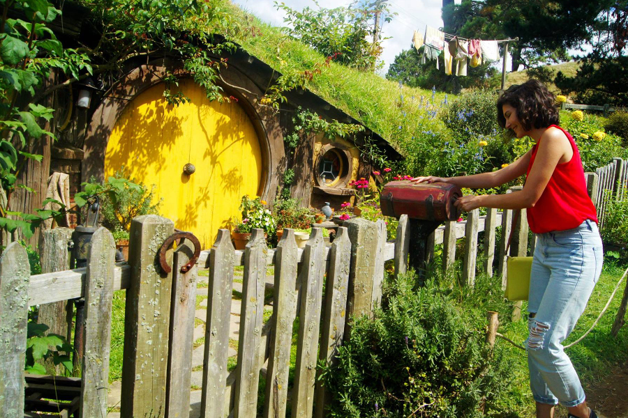 circuit hobbit seigneur anneaux nouvelle zelande - Frogs-in-NZ