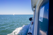 Excursion en ba - Office de Tourisme de Lège-Cap Ferret