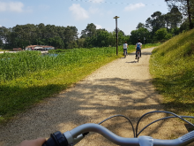 Balade à vélo s - ©Office de Tourisme de Mont de Marsan
