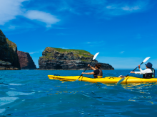 Kayak de mer da - Pohatu penguins