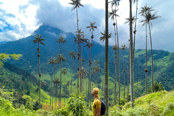 Vallée de Cocora - Terra Colombia