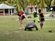 Tortues géantes - ©Sagittarius