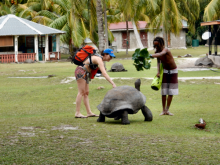 Tortues géantes - Sagittarius