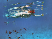 Snorkelling - ©Sagittarius