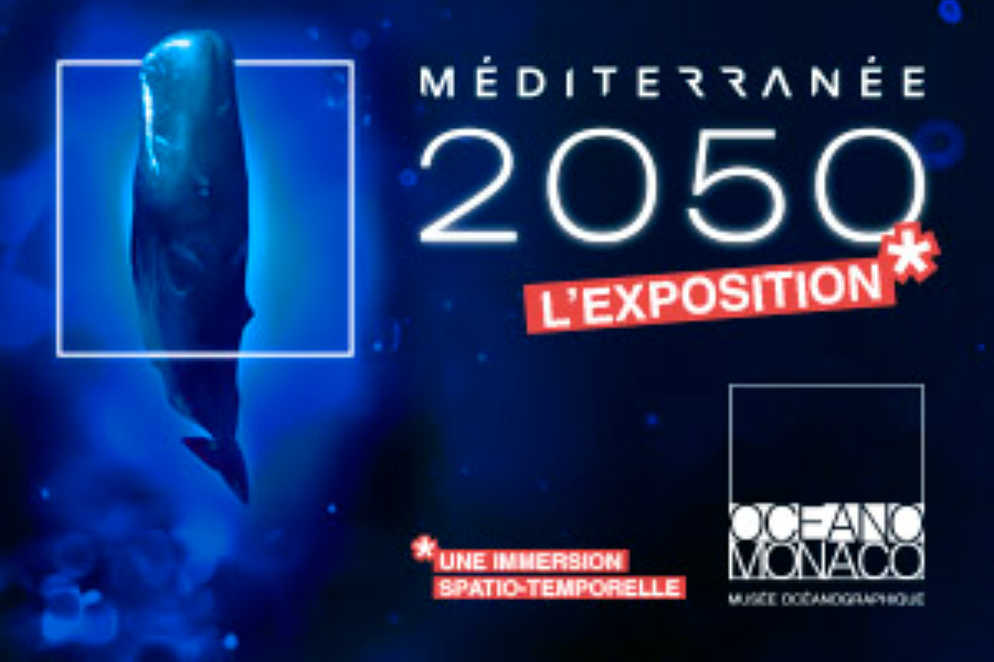 Méditerranée 2050 - Méditerranée 2050