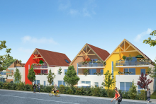Cèdre - ©BFC Promotion Habitat