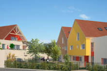 Cèdre - ©BFC Promotion Habitat