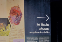 La ruche sonore, un voyage au fil des saisons, en immersion - ©Arnaud Soubeyran