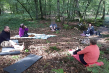 journée chamanisme initiatique en forêt - ©La Voie du Tambour