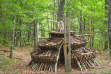 Terra Aventura Cussac : En poste dans la forêt de Boubon ! - ©Le Souffle Vert