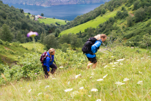 FjordSafari & randonnée - FjordNorway