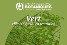 Vert - Ville et végétal en transition - ©MJBC