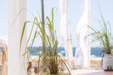 Restaurant Nana on the beach - ©Vila Vita