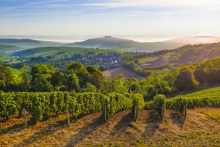 sancerre - ©le 1930