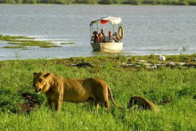 Boat Safari - APS